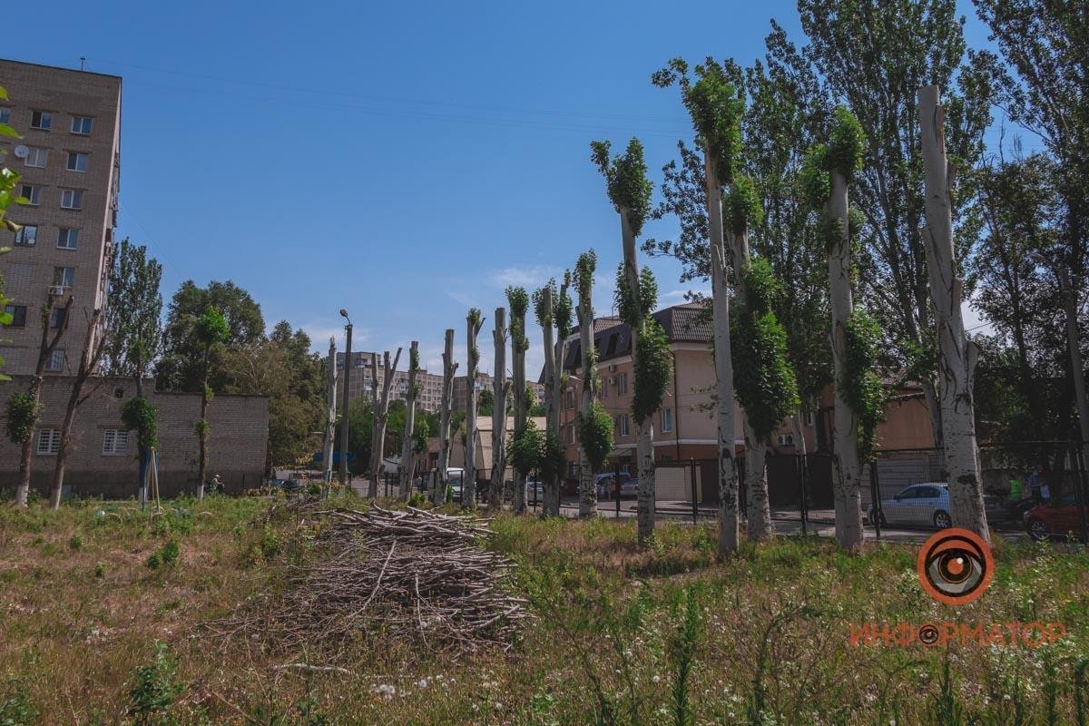 Выборы в Днепре: избиратели Абдулы Эльдарова мечтают о дорогах без ям 3