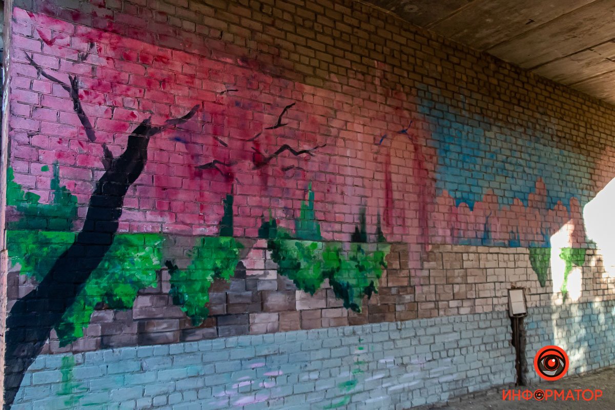 Сакура или вишня?