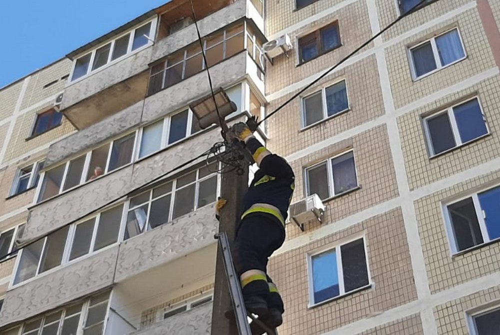 В Днепре на Дементьева спасатели помогли голубю, который запутался в проводах 1
