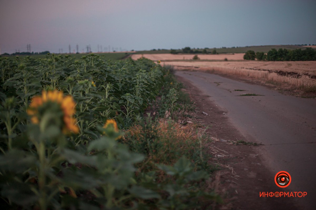 Бескрайние просторы Бескрайние просторы