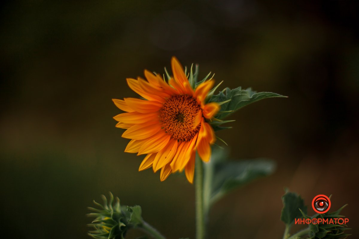 Приглядитесь к деталям Приглядитесь к деталям