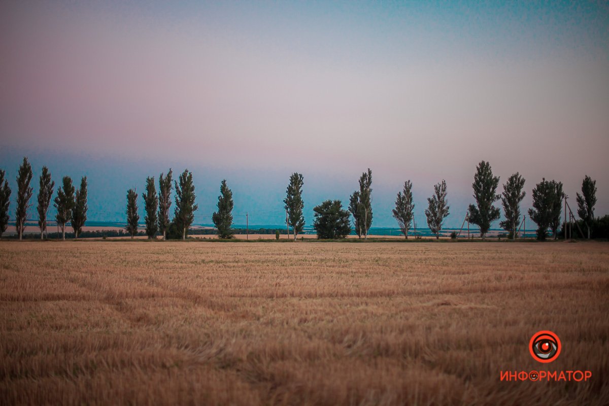 Лето - это маленькая жизнь Лето - это маленькая жизнь