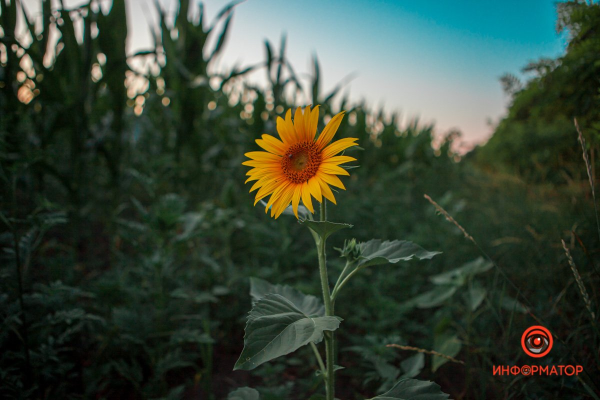 Жизнь - не репетиция, запоминайте яркие моменты Жизнь - не репетиция, запоминайте яркие моменты