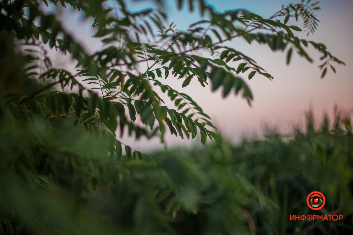 Пусть жарко, зато красиво Пусть жарко, зато красиво