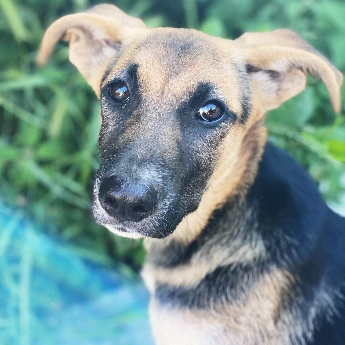 Очаровательные глазки