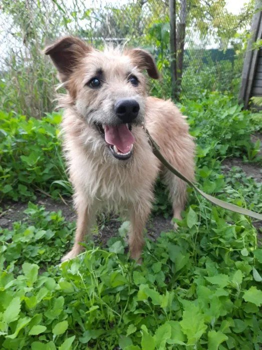 Улыбчивая Найда