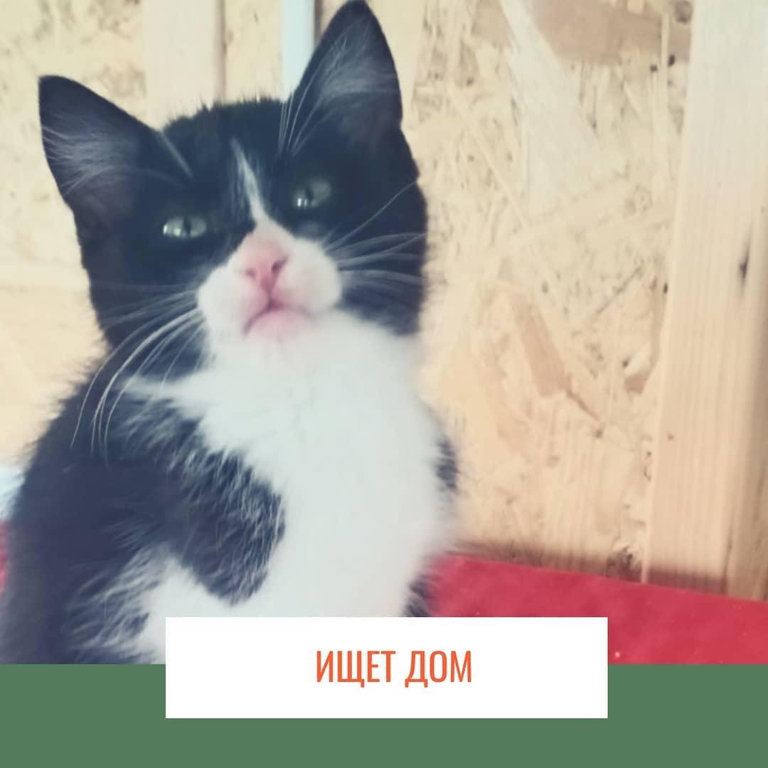 Герой, который заслуживает друга