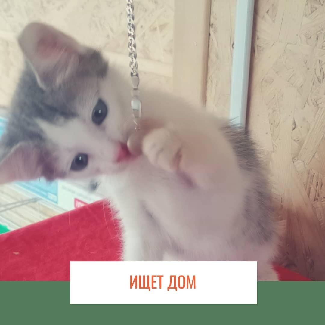 Игры и любовь