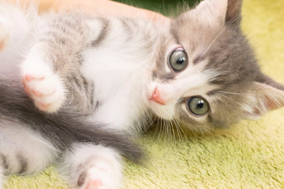 Малышки никогда не видела улицу