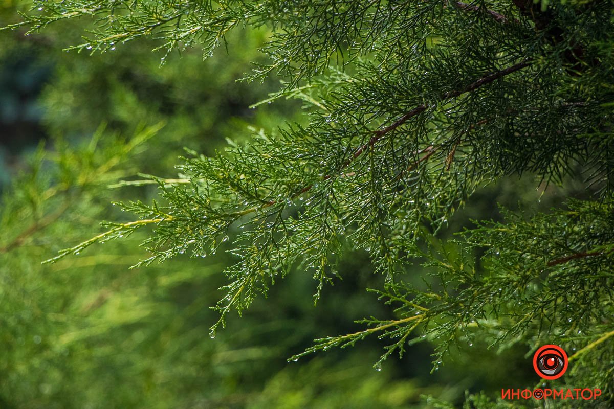 Вещи не всегда то, чем кажутся. Многое, что кажется злом, может быть добром. Например, дождь