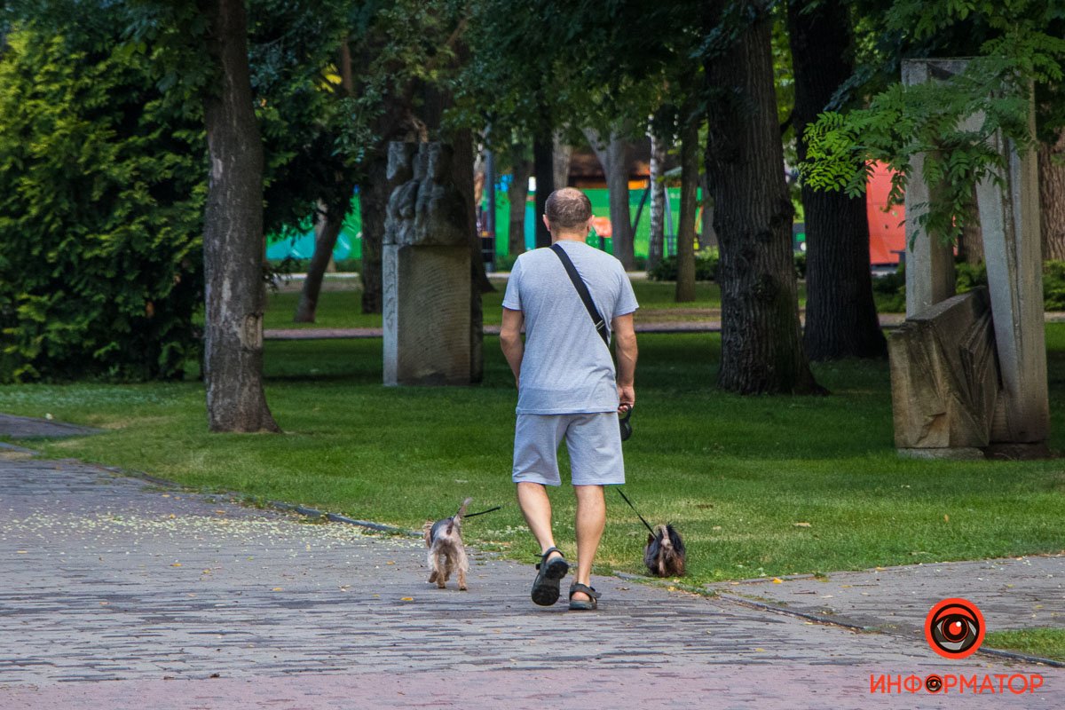 Сейчас бы лежать дома в уютной кровати, а не вот это вот все