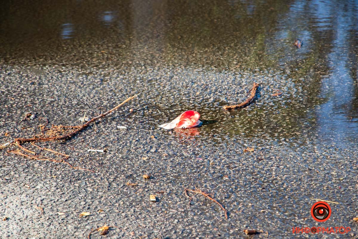 Пострадавшая получила травмы головы