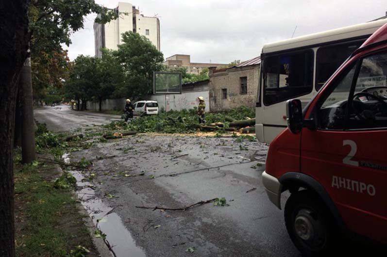 В Днепре на Ярослава Мудрого дерево рухнуло на дорогу, перекрыв движение 1