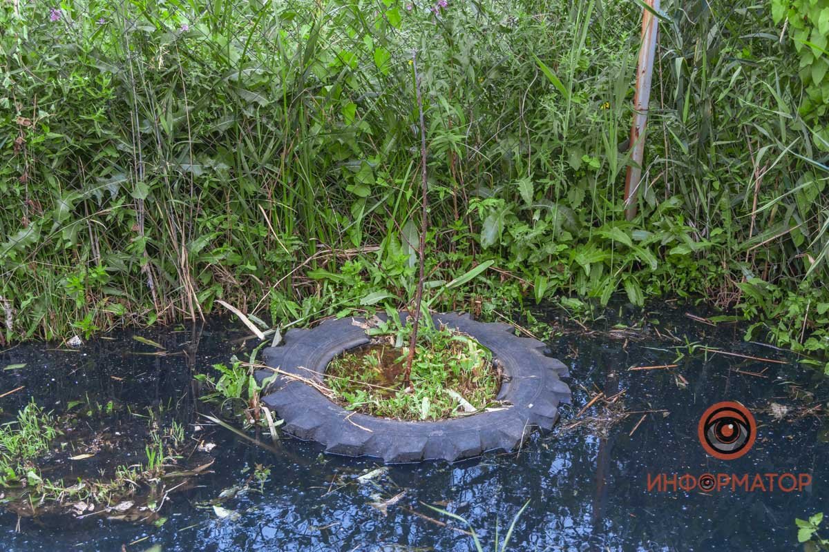 В Днепре на Бердянской прорвало коллектор: нечистоты залили рельсы и частные дома 34