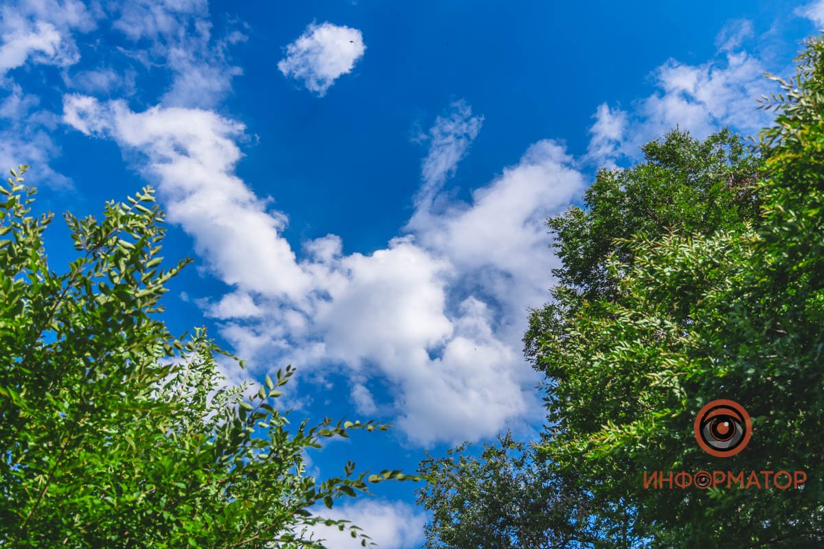 Я бы раскрыла глаза пошире,