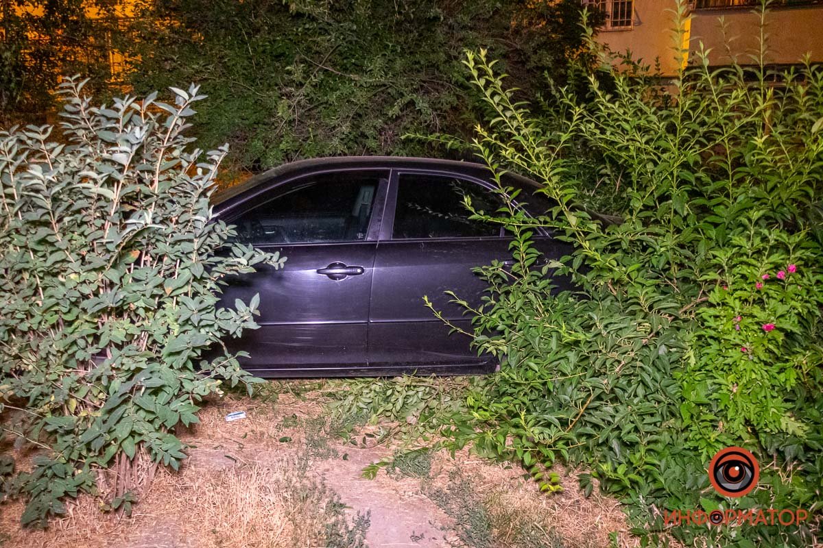 Машина заехала в кусты