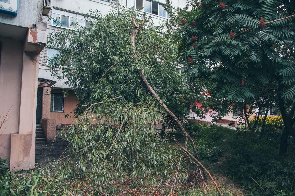 Выборы в Днепре: постапокалипсис на округе депутата Лыгина 2