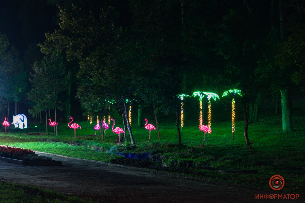 Тропический уголок