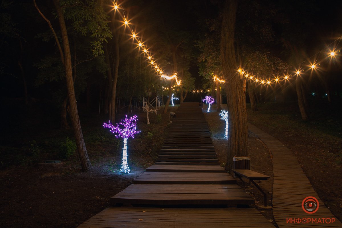 Теплый свет и сакура