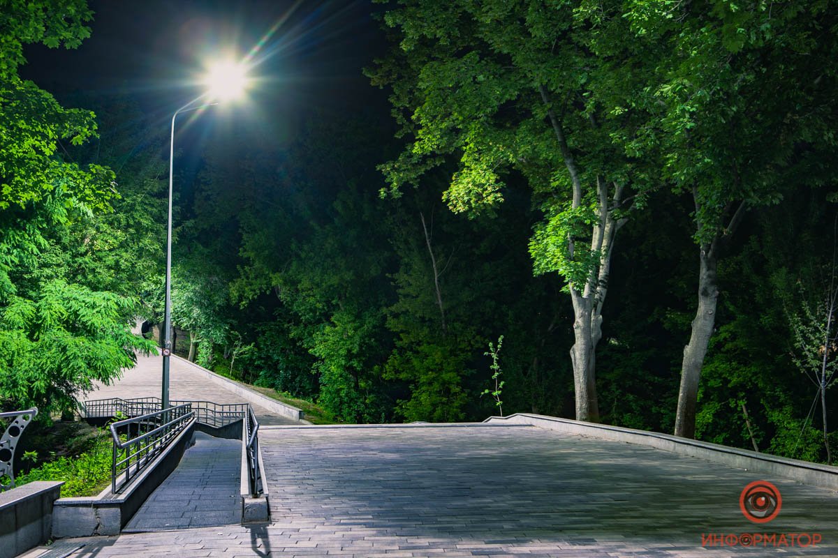 Столько зелени