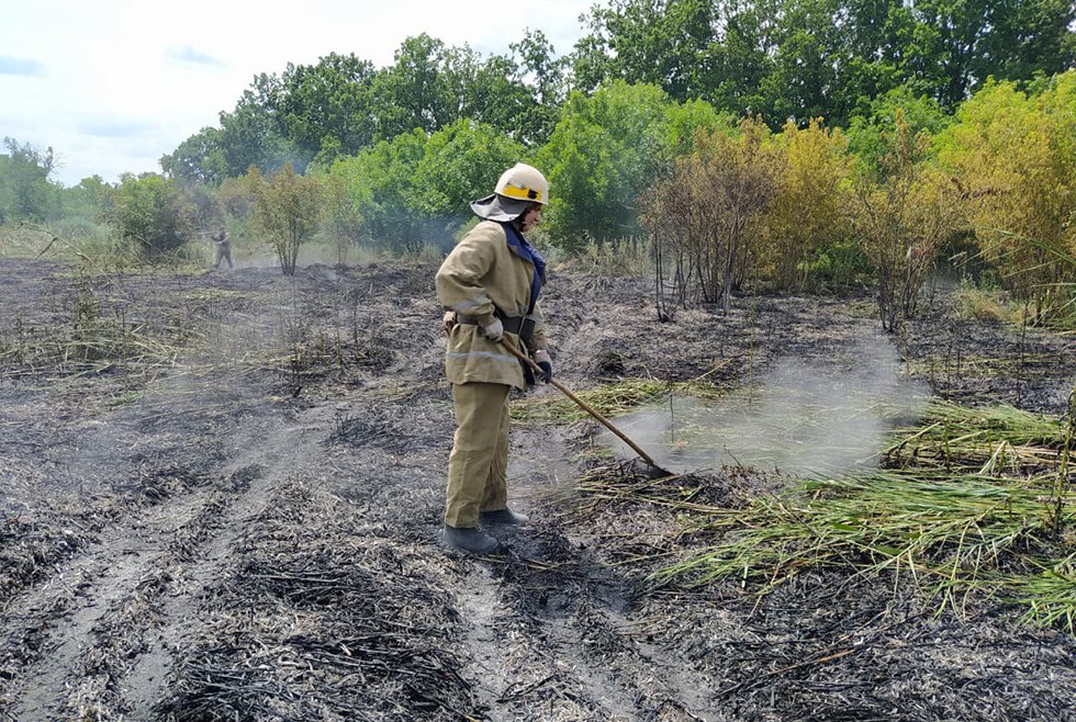Общая площадь - 48 гектаров