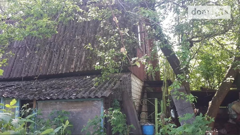 На участке много деревьев