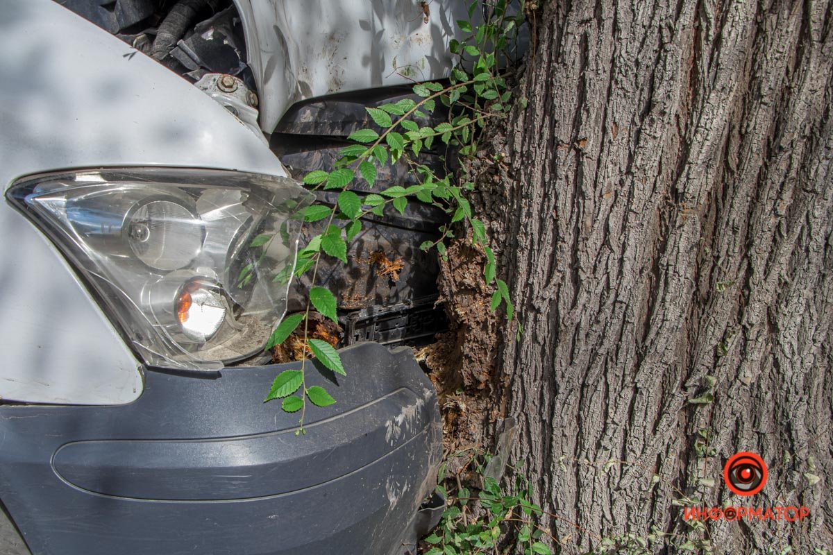 Mercedes-Benz врезался в дерево