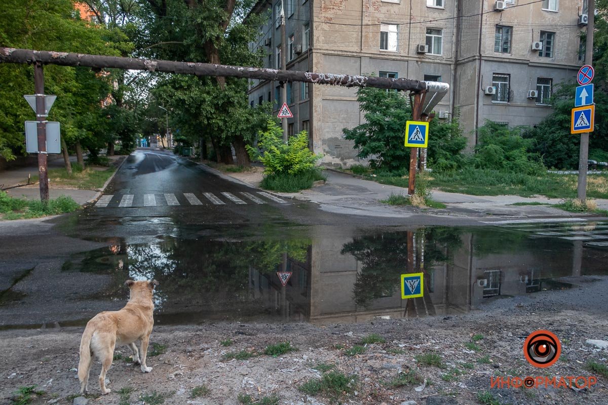 Местный аналитик пытается выяснить причину проблемы