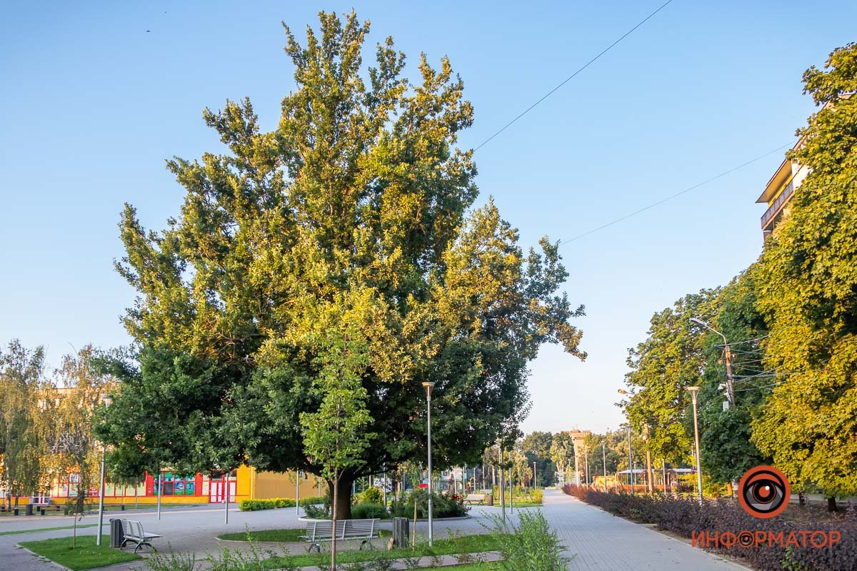 Место отдыха жителей Западного жилмассива