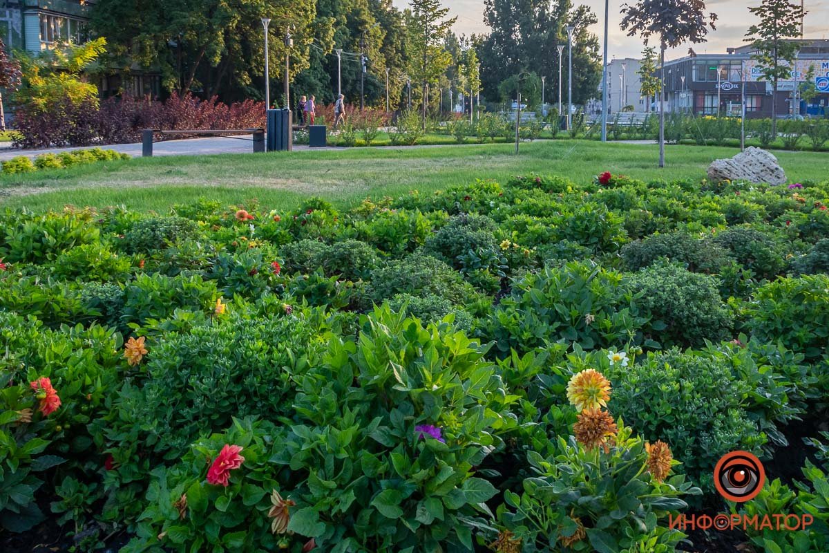 Приятно видеть столько зелени вокруг