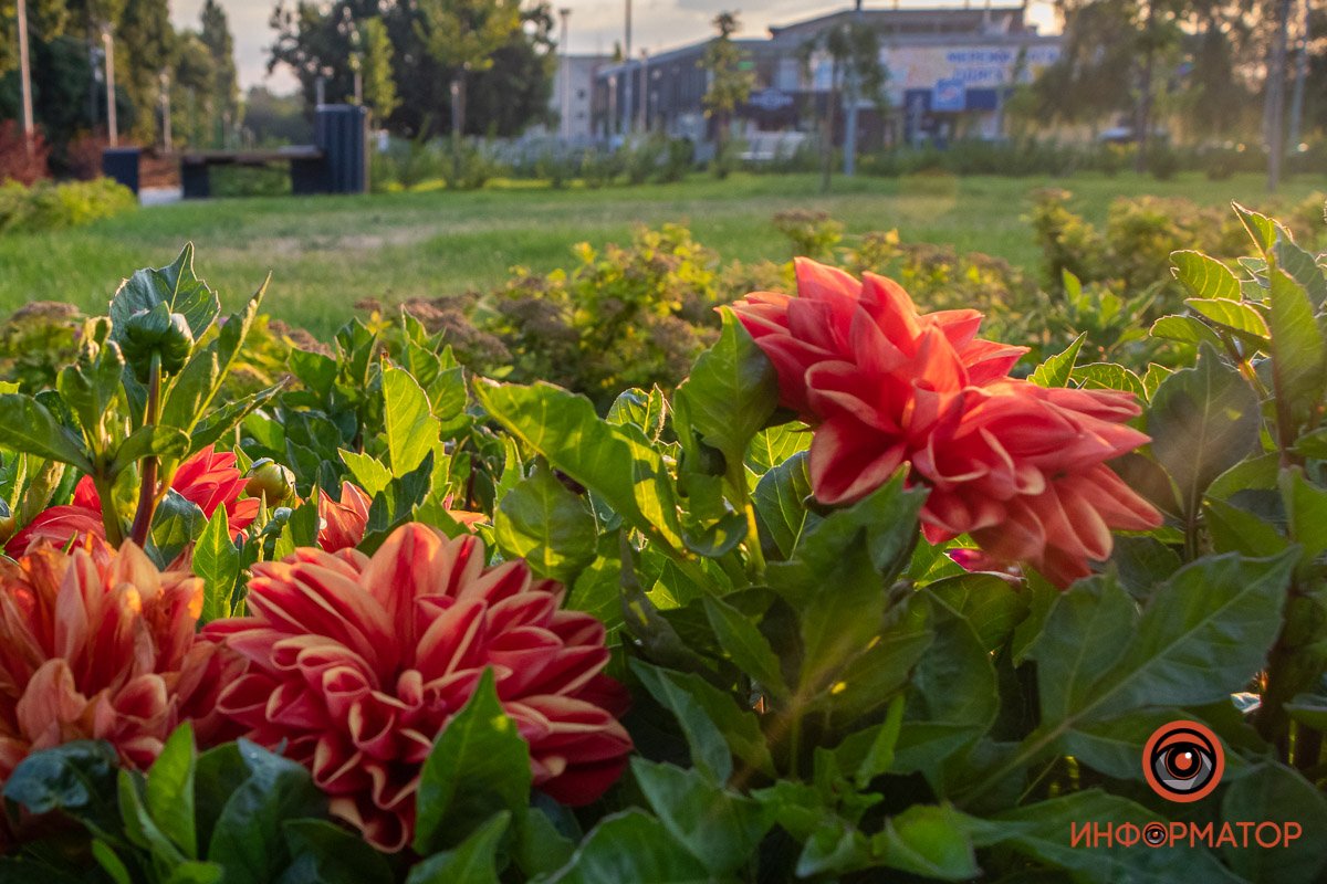 Лучше не срывать