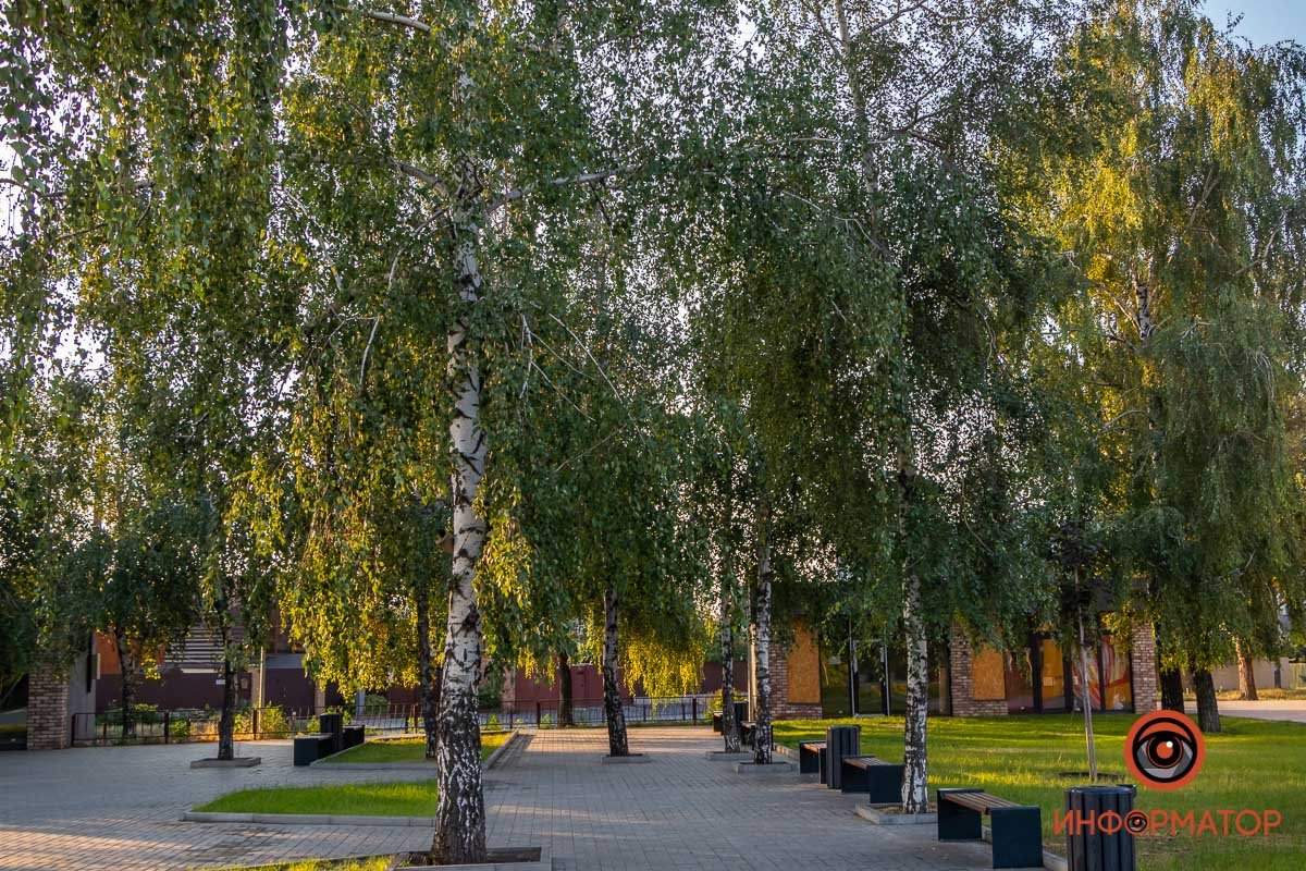 В тени деревьев можно посидеть с книжкой в руках 