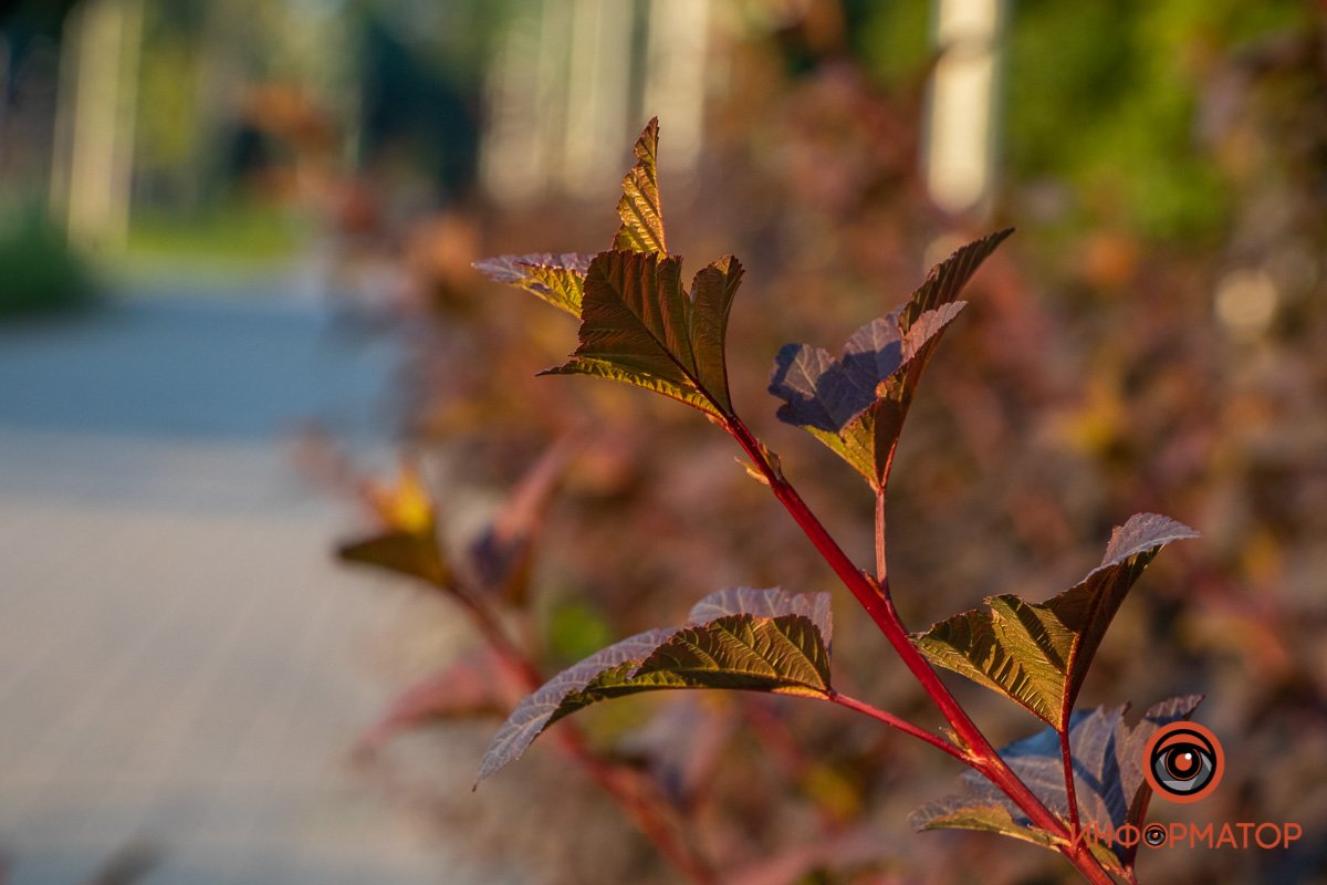 Красота в деталях