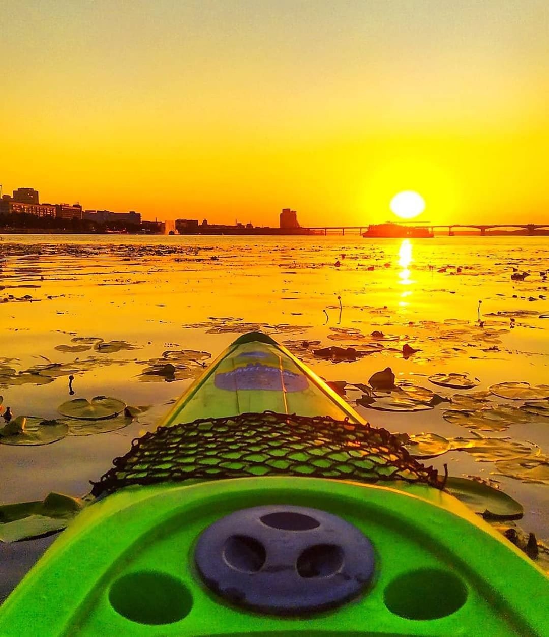 Фото: @alyonka.rules Фото: @alyonka.rules