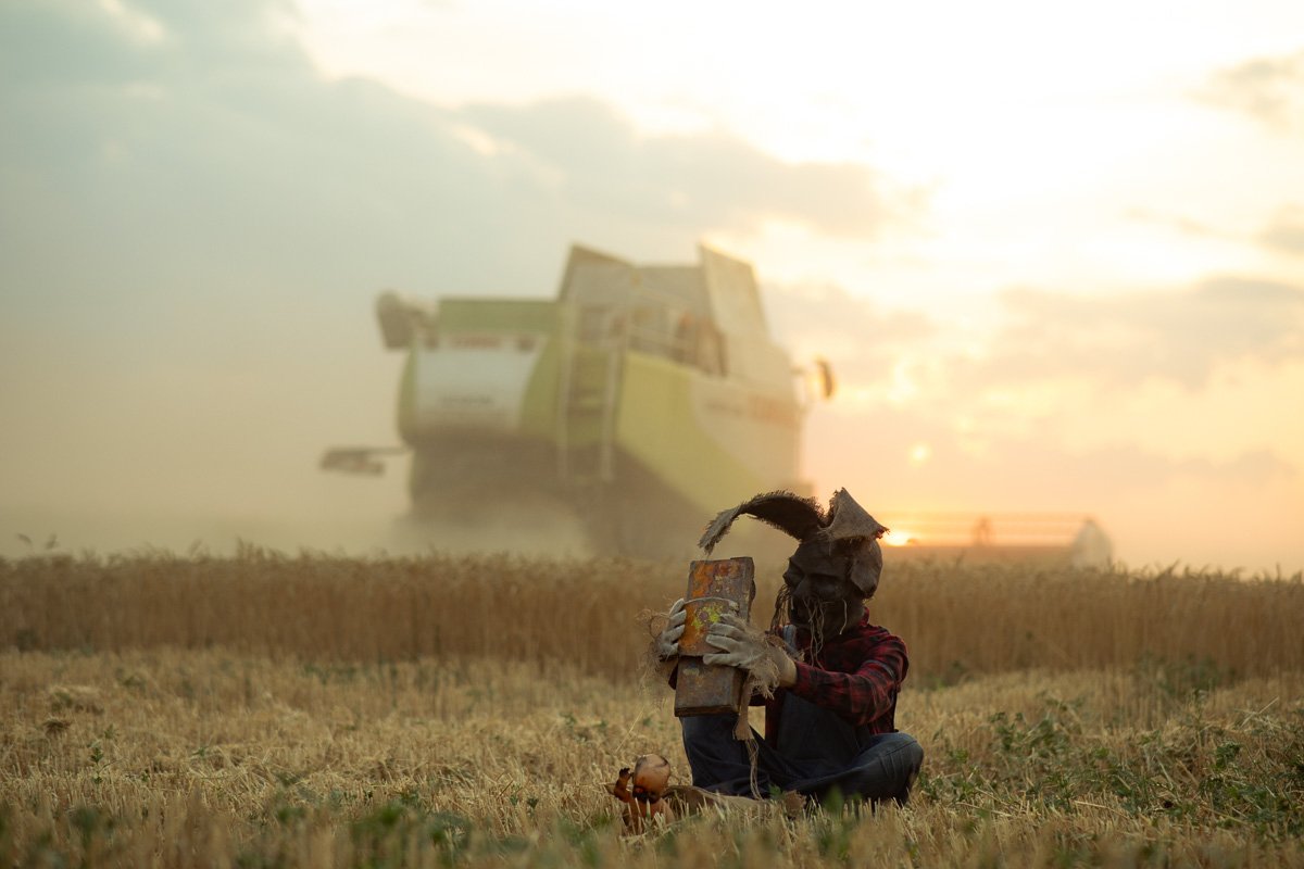 В кукурузных полях Днепра заметили персонажей Стивена Кинга 2