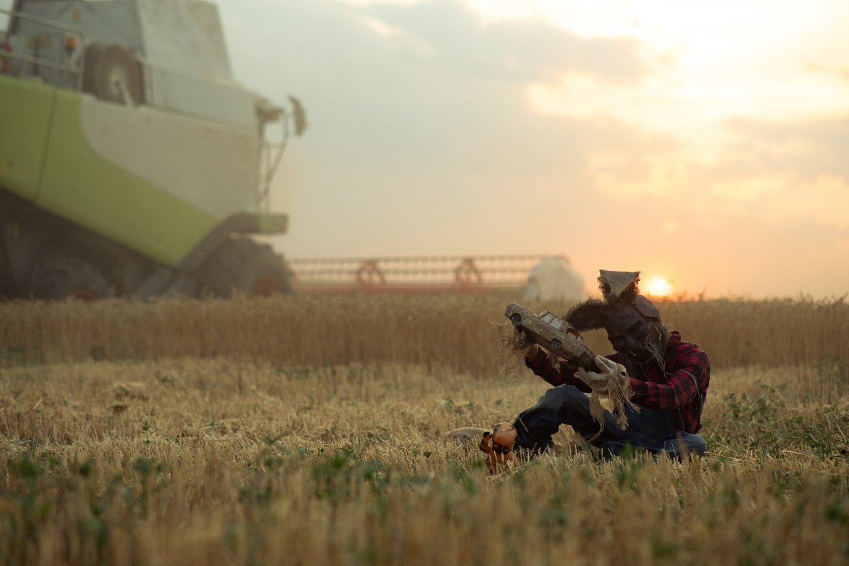 В кукурузных полях Днепра заметили персонажей Стивена Кинга 3