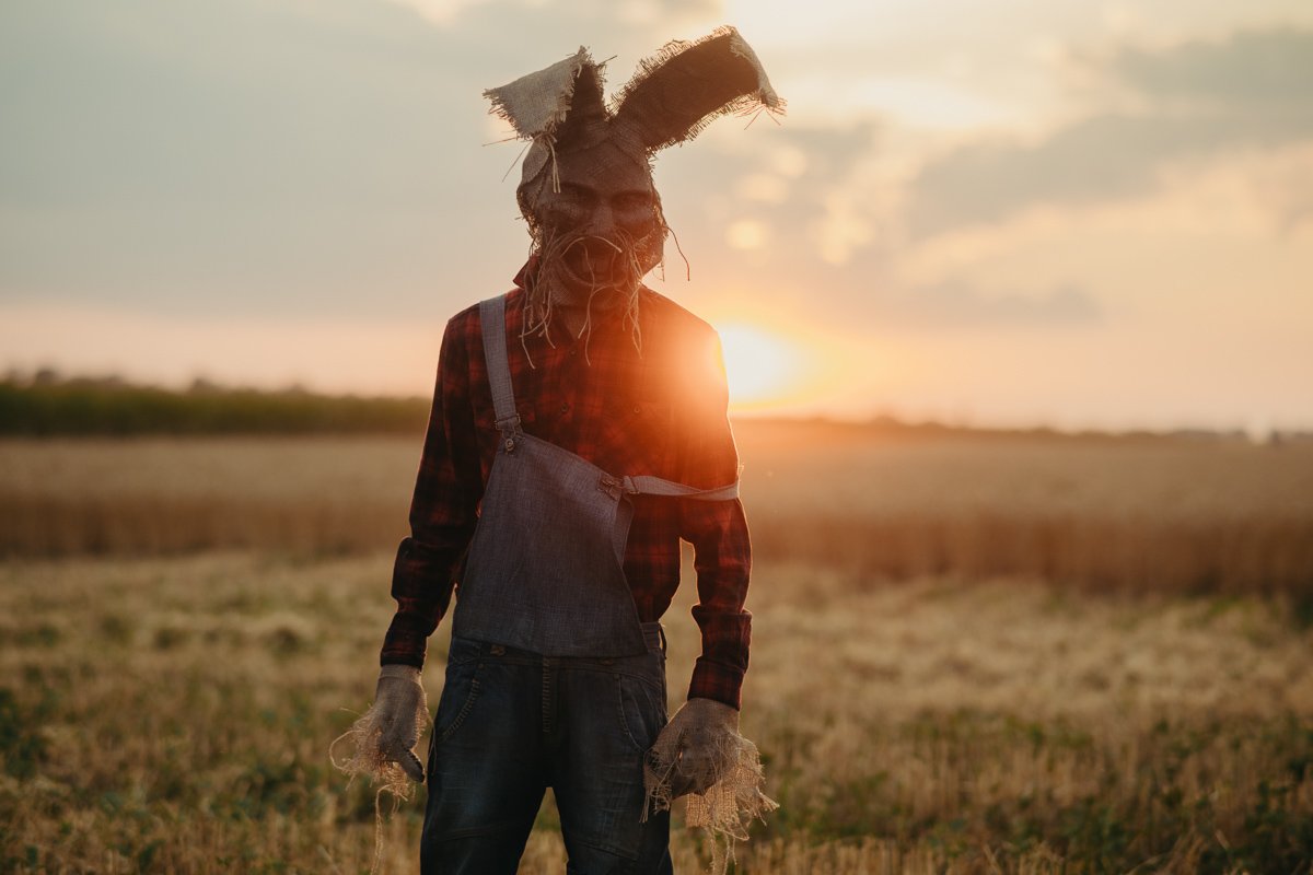 В кукурузных полях Днепра заметили персонажей Стивена Кинга 5