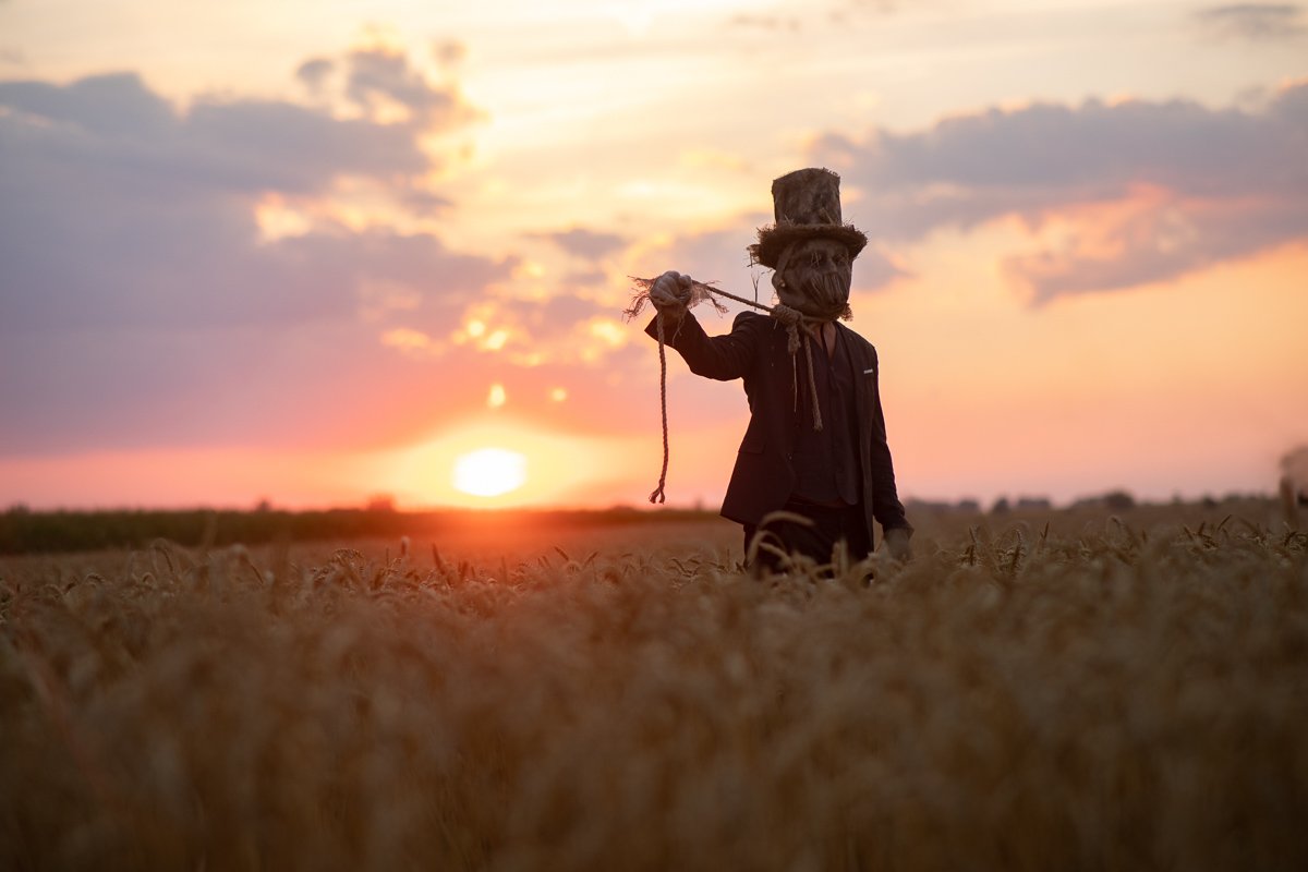 В кукурузных полях Днепра заметили персонажей Стивена Кинга 6