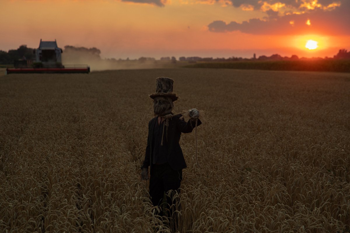 В кукурузных полях Днепра заметили персонажей Стивена Кинга 7