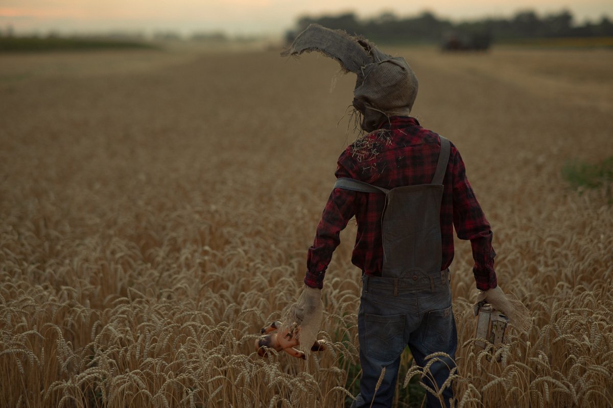 В кукурузных полях Днепра заметили персонажей Стивена Кинга 9