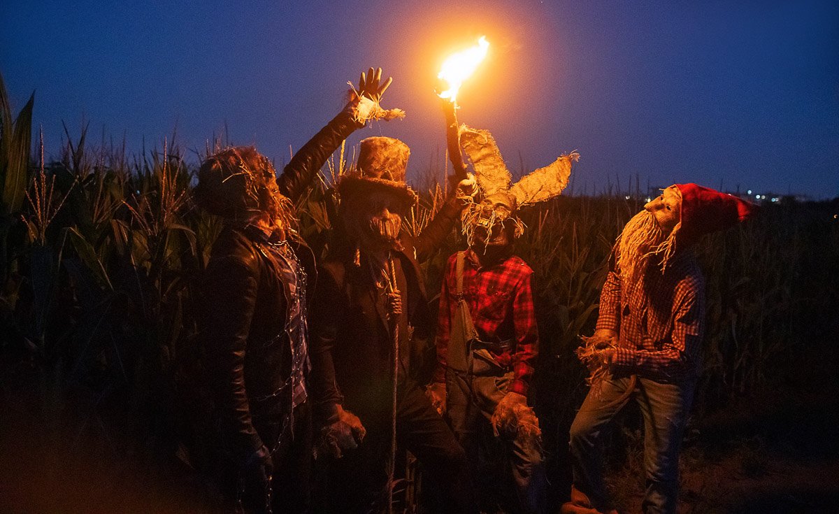 В кукурузных полях Днепра заметили персонажей Стивена Кинга 12