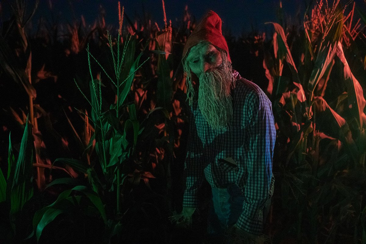 В кукурузных полях Днепра заметили персонажей Стивена Кинга 14