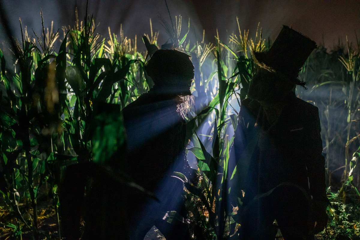 В кукурузных полях Днепра заметили персонажей Стивена Кинга 16