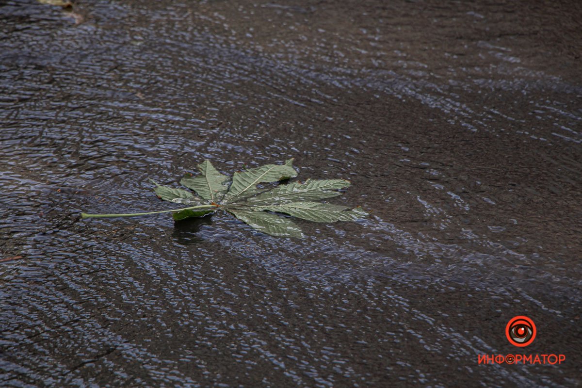 Вся дорога в канализации Вся дорога в канализации