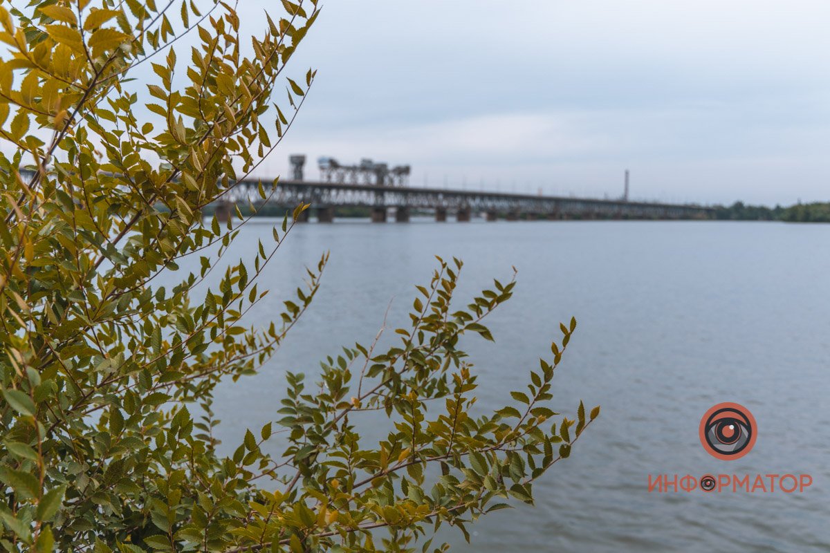 Демоверсия осени Демоверсия осени