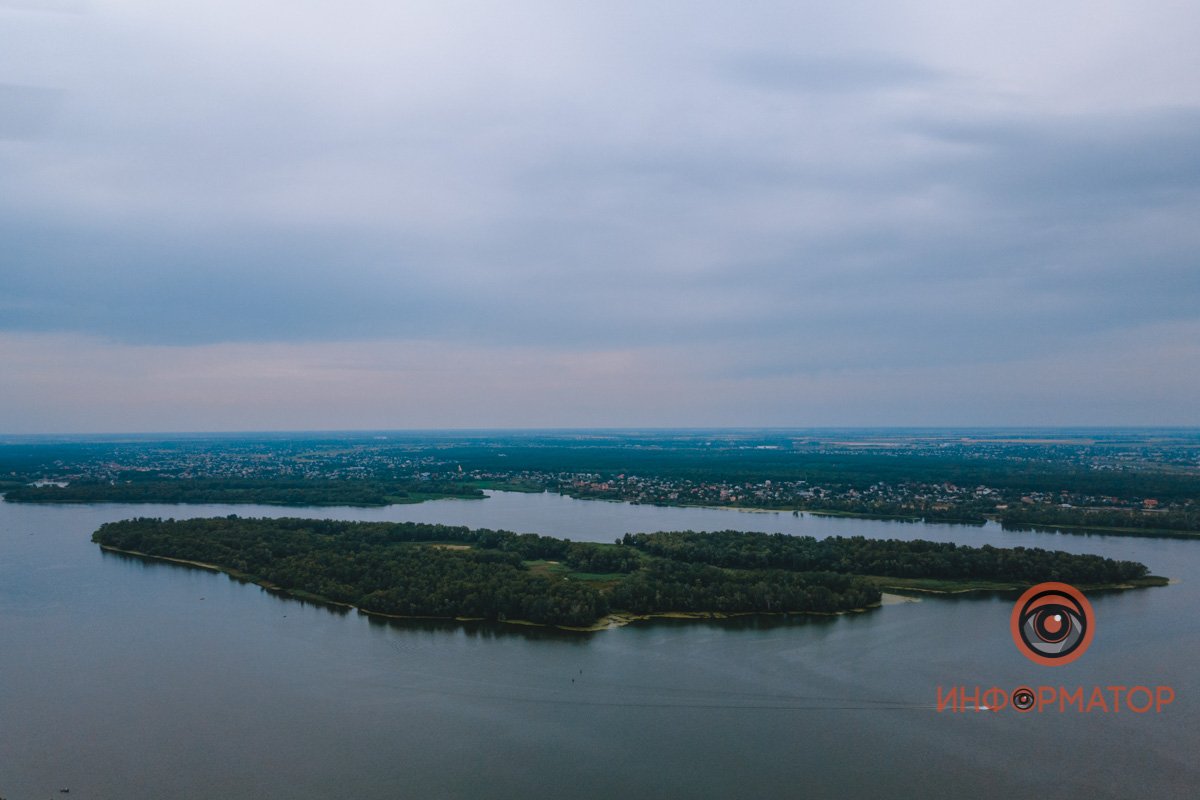 Лес в отражении Лес в отражении