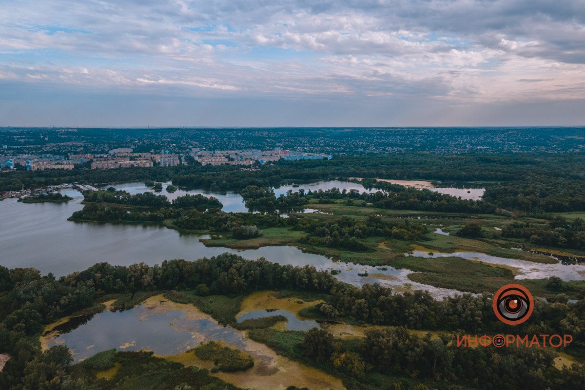 Краски осени Краски осени