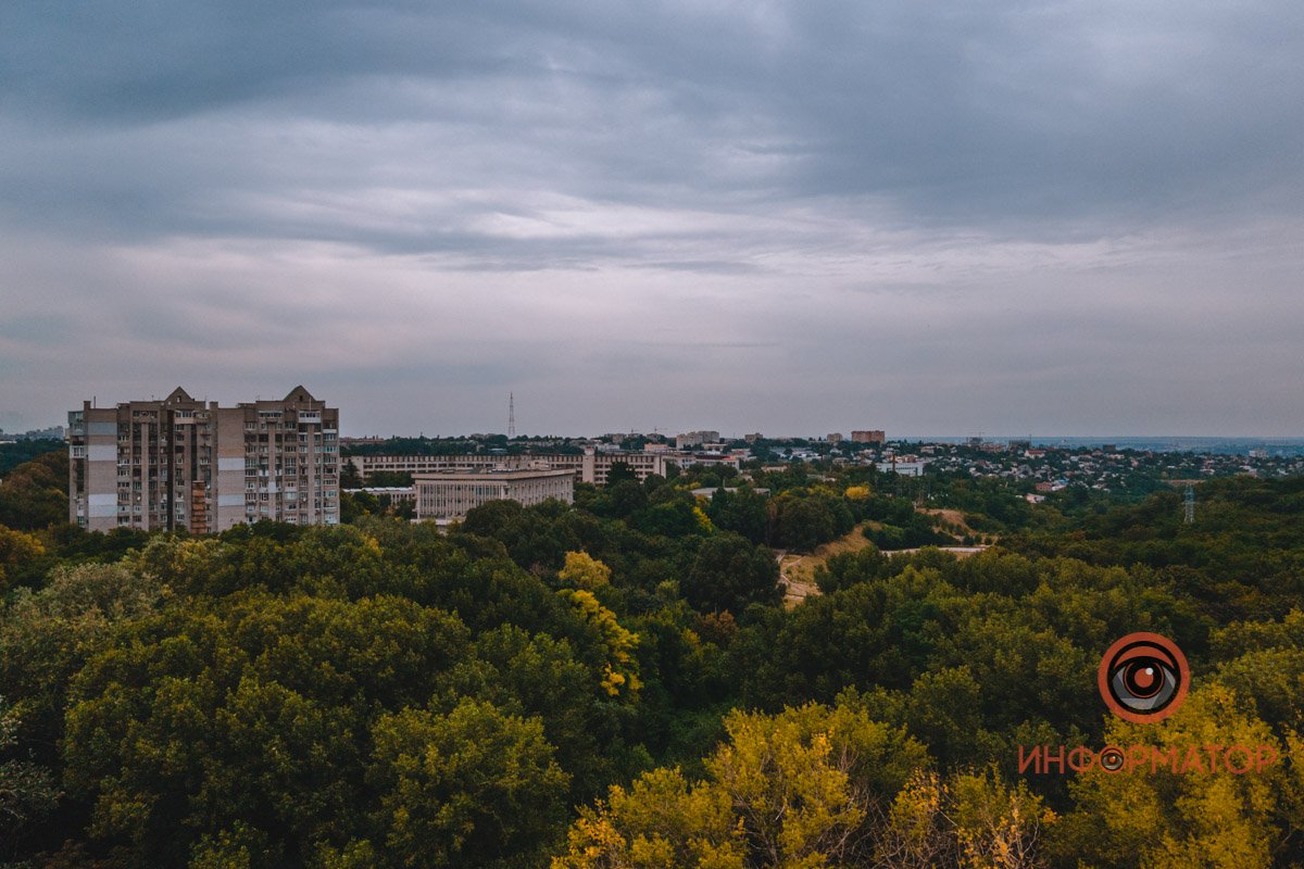 Медленно желтеет Медленно желтеет