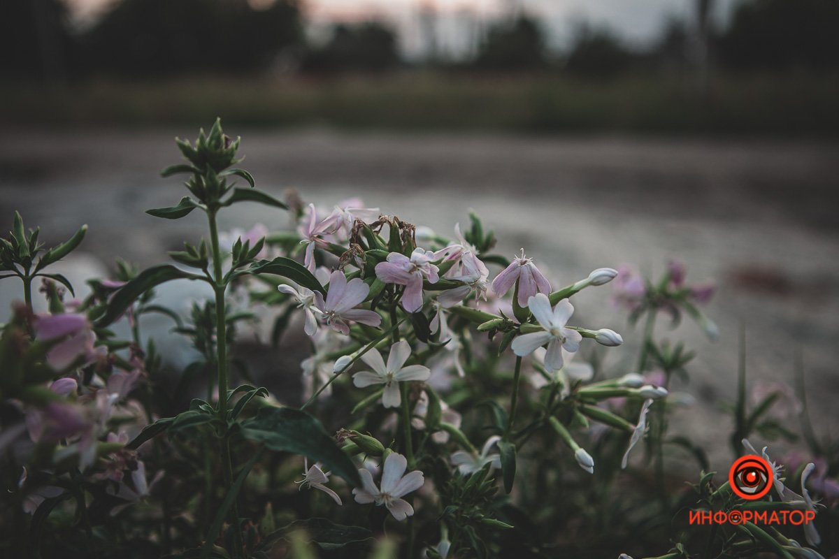 Природой можно любоваться вечно Природой можно любоваться вечно