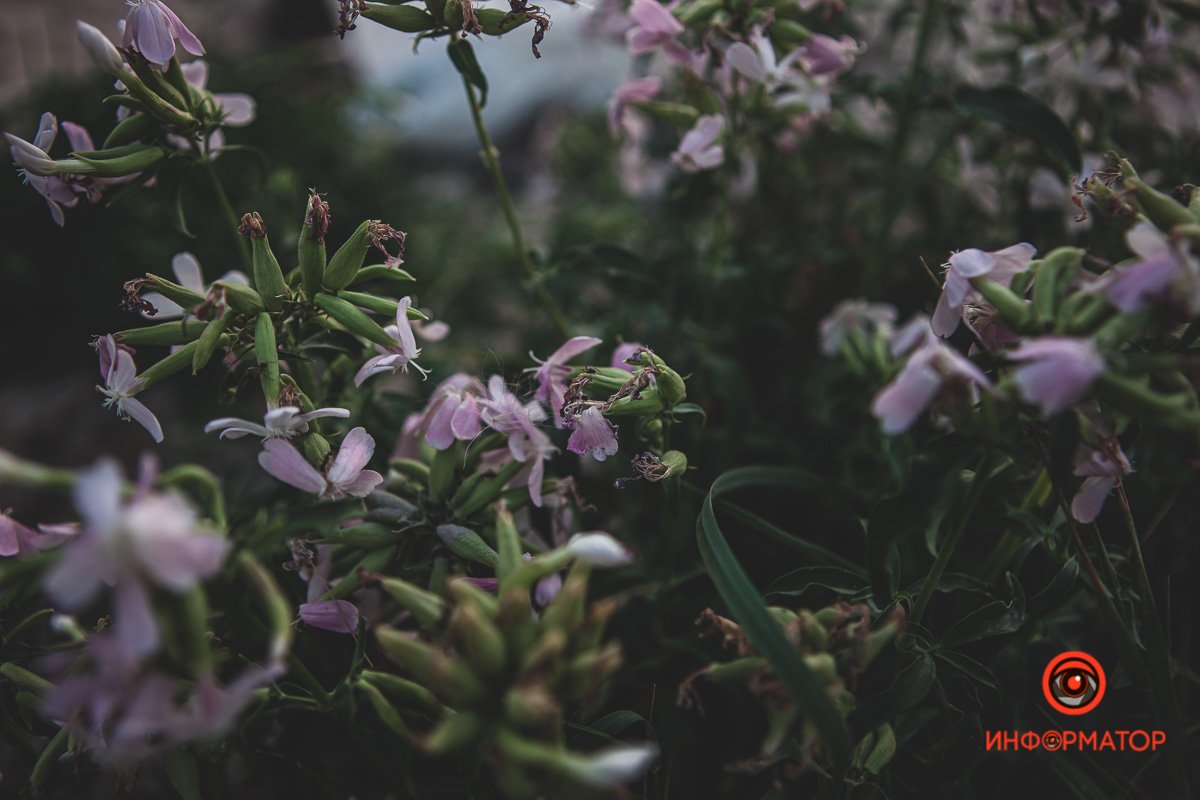 Приглядитесь к мелочам Приглядитесь к мелочам